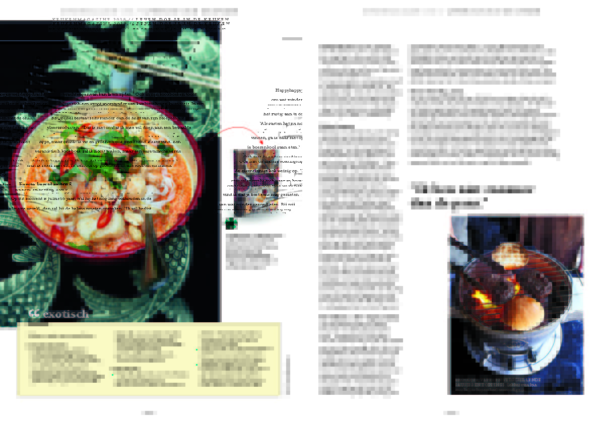 NL_052_km_Jaspers_Pagina_2